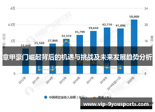 意甲豪门崛起背后的机遇与挑战及未来发展趋势分析
