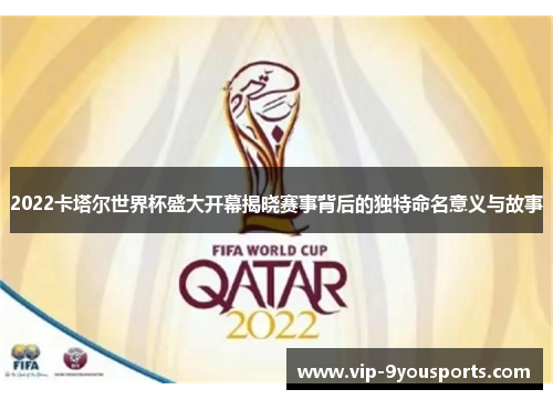 2022卡塔尔世界杯盛大开幕揭晓赛事背后的独特命名意义与故事