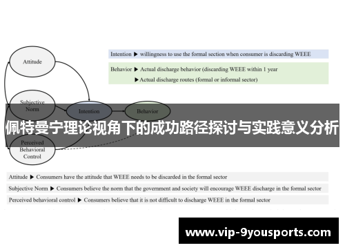 佩特曼宁理论视角下的成功路径探讨与实践意义分析