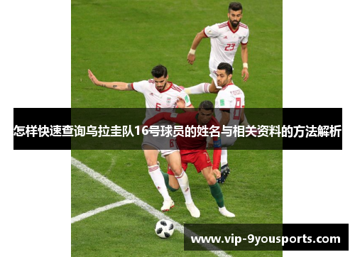 怎样快速查询乌拉圭队16号球员的姓名与相关资料的方法解析